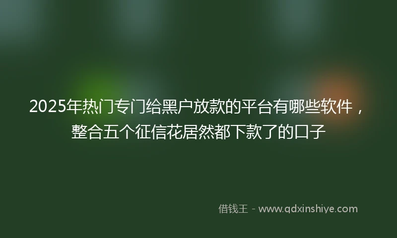 2025年热门专门给黑户放款的平台有哪些软件,整合五个征信花居然都下款了的口子