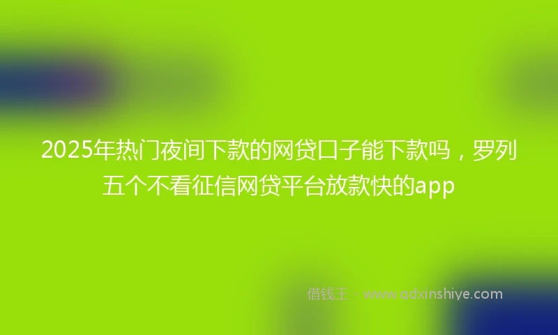 2025年热门夜间下款的网贷口子能下款吗，罗列五个不看征信网贷平台放款快的app