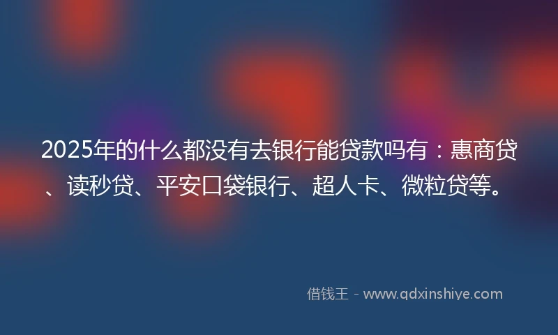 2025年的什么都没有去银行能贷款吗有：惠商贷、读秒贷、平安口袋银行、超人卡、微粒贷等。
