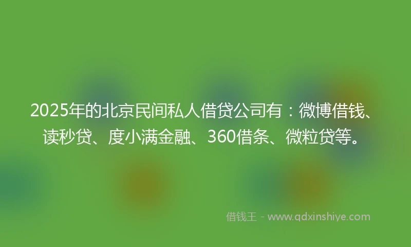 2025年的北京民间私人借贷公司有：微博借钱、读秒贷、度小满金融、360借条、微粒贷等。