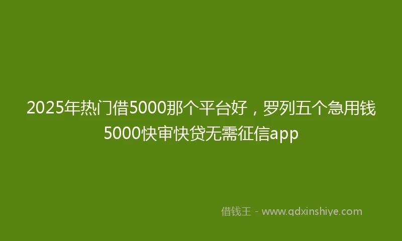 2025年热门借5000那个平台好，罗列五个急用钱5000快审快贷无需征信app