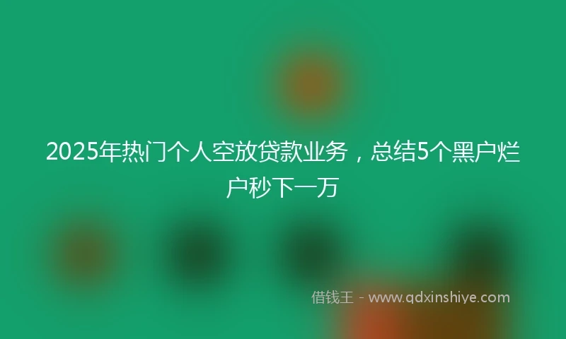 2025年热门个人空放贷款业务，总结5个黑户烂户秒下一万