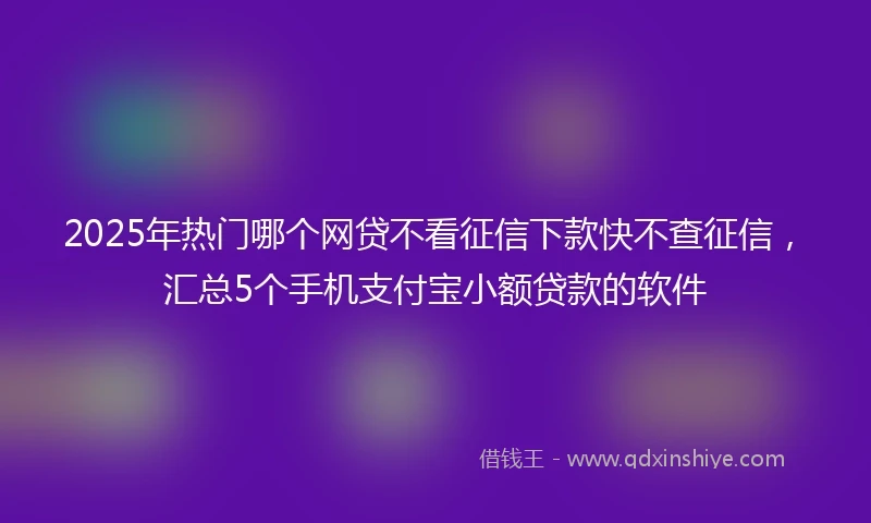 2025年热门哪个网贷不看征信下款快不查征信，汇总5个手机支付宝小额贷款的软件