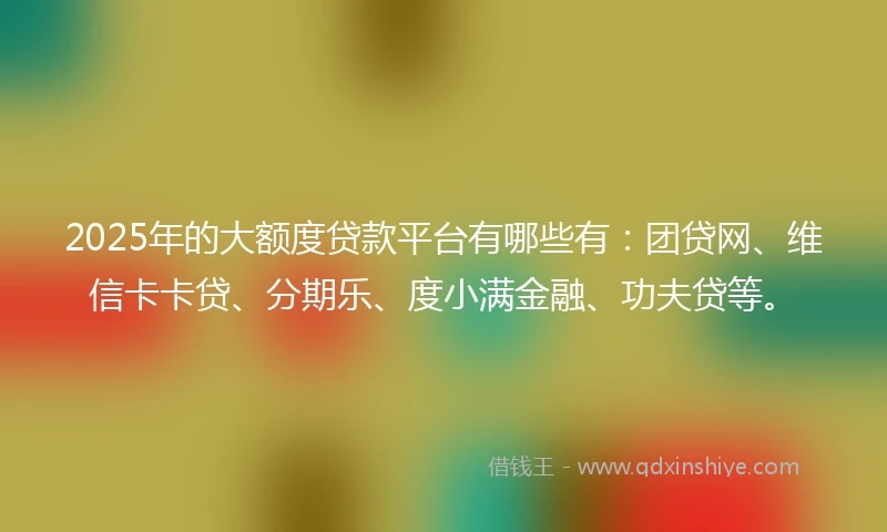 2025年的大额度贷款平台有哪些有：团贷网、维信卡卡贷、分期乐、度小满金融、功夫贷等。
