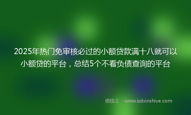 2025年热门免审核必过的小额贷款满十八就可以小额贷的平台，总结5个不看负债查询的平台