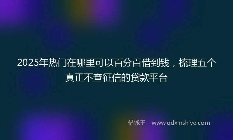 2025年热门在哪里可以百分百借到钱，梳理五个真正不查征信的贷款平台