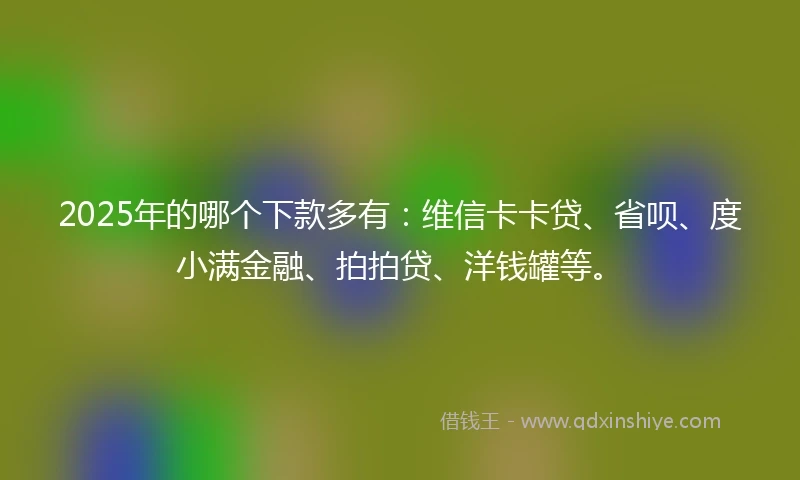2025年的哪个下款多有：维信卡卡贷、省呗、度小满金融、拍拍贷、洋钱罐等。