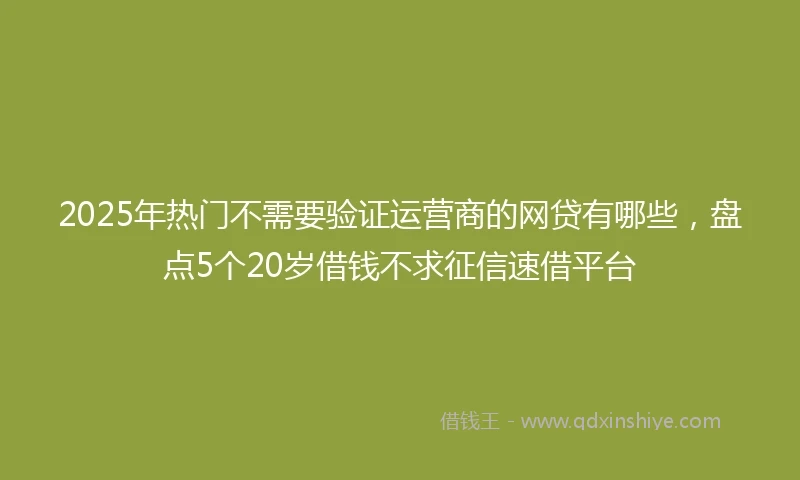 2025年热门不需要验证运营商的网贷有哪些，盘点5个20岁借钱不求征信速借平台