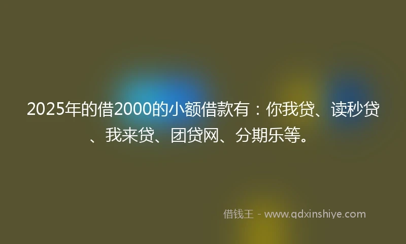 2025年的借2000的小额借款有：你我贷、读秒贷、我来贷、团贷网、分期乐等。