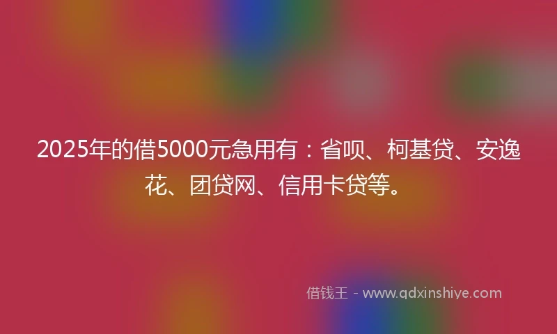 2025年的借5000元急用有:省呗、柯基贷、安逸花、团贷网、信用卡贷等。