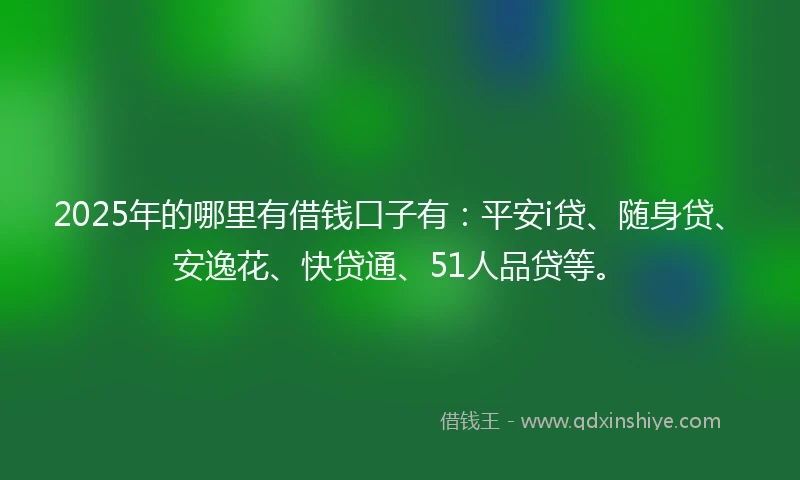 2025年的哪里有借钱口子有：平安i贷、随身贷、安逸花、快贷通、51人品贷等。