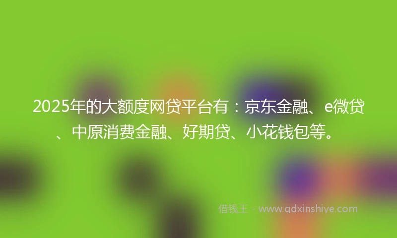 2025年的大额度网贷平台有：京东金融、e微贷、中原消费金融、好期贷、小花钱包等。