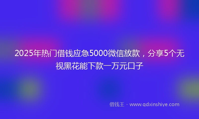 2025年热门借钱应急5000微信放款，分享5个无视黑花能下款一万元口子
