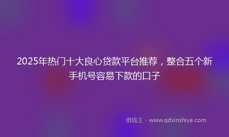 2025年热门十大良心贷款平台推荐，整合五个新手机号容易下款的口子