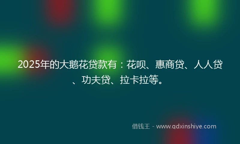 2025年的大鹅花贷款有：花呗、惠商贷、人人贷、功夫贷、拉卡拉等。