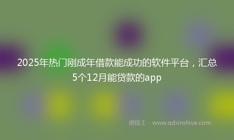 2025年热门刚成年借款能成功的软件平台，汇总5个12月能贷款的app