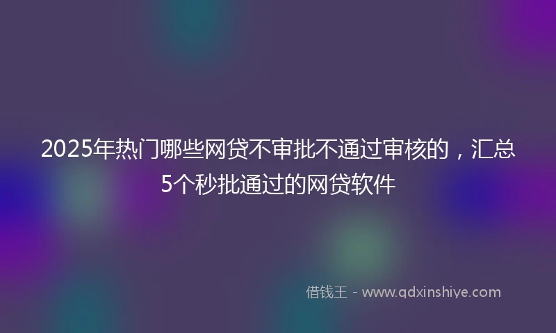 2025年热门哪些网贷不审批不通过审核的，汇总5个秒批通过的网贷软件