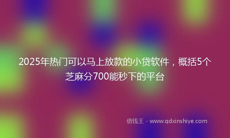 2025年热门可以马上放款的小贷软件，概括5个芝麻分700能秒下的平台