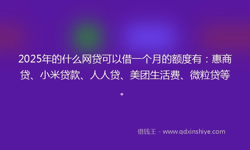2025年的什么网贷可以借一个月的额度有：惠商贷、小米贷款、人人贷、美团生活费、微粒贷等。
