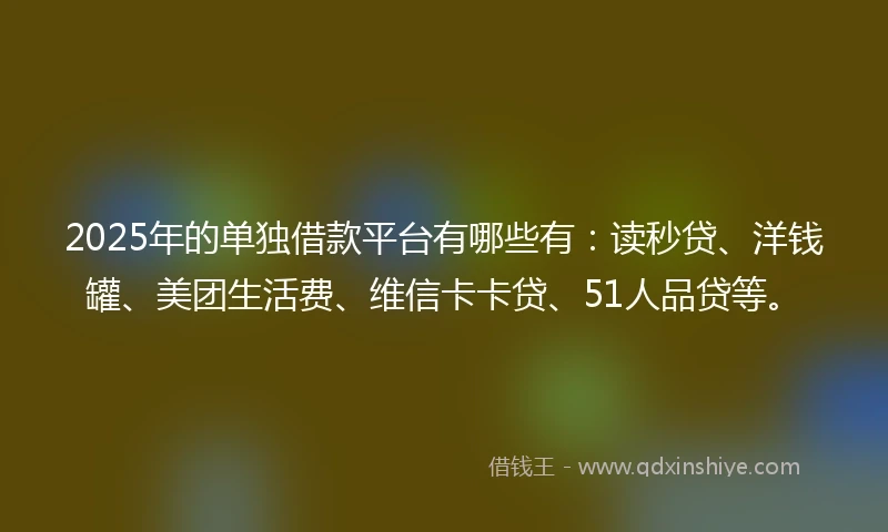 2025年的单独借款平台有哪些有：读秒贷、洋钱罐、美团生活费、维信卡卡贷、51人品贷等。