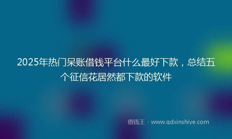 2025年热门呆账借钱平台什么最好下款，总结五个征信花居然都下款的软件
