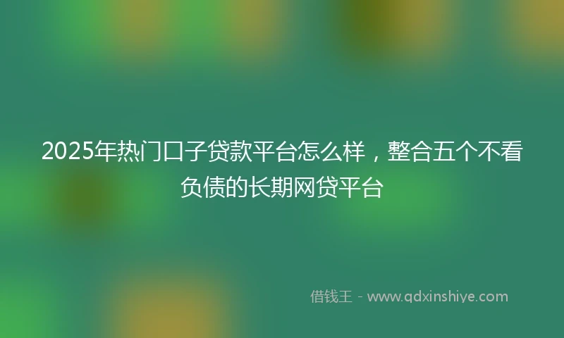 2025年热门口子贷款平台怎么样，整合五个不看负债的长期网贷平台