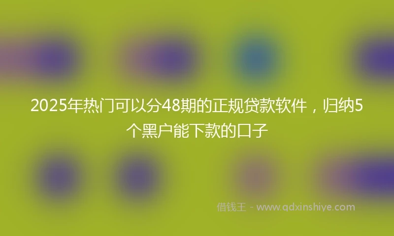 2025年热门可以分48期的正规贷款软件，归纳5个黑户能下款的口子
