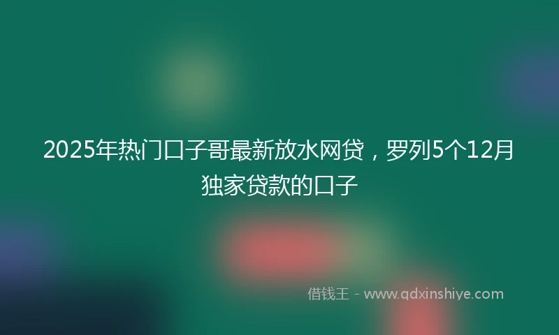 2025年热门口子哥最新放水网贷，罗列5个12月独家贷款的口子