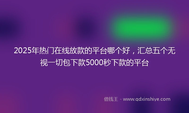 2025年热门在线放款的平台哪个好，汇总五个无视一切包下款5000秒下款的平台