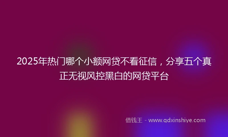 2025年热门哪个小额网贷不看征信，分享五个真正无视风控黑白的网贷平台