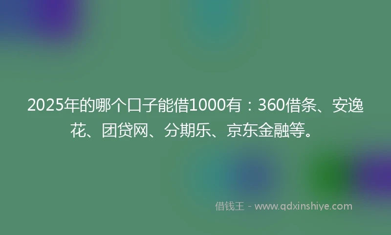 2025年的哪个口子能借1000有：360借条、安逸花、团贷网、分期乐、京东金融等。