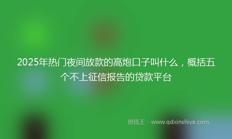 2025年热门夜间放款的高炮口子叫什么，概括五个不上征信报告的贷款平台
