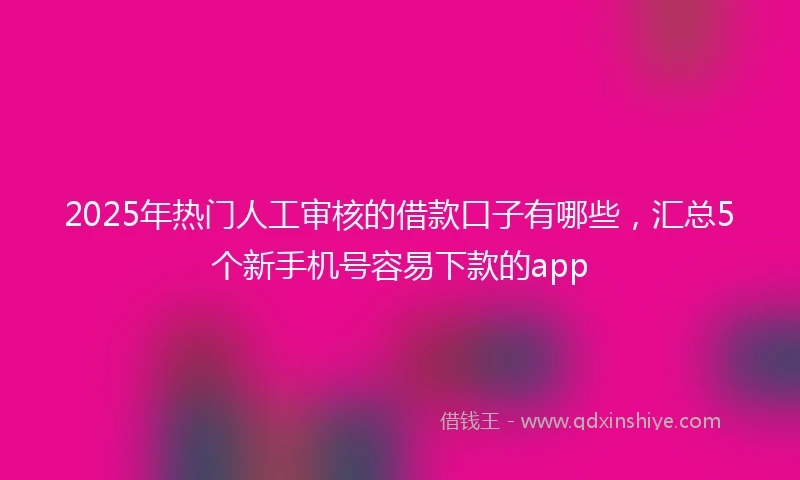 2025年热门人工审核的借款口子有哪些，汇总5个新手机号容易下款的app
