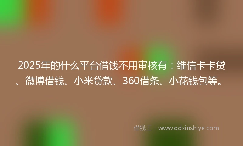 2025年的什么平台借钱不用审核有：维信卡卡贷、微博借钱、小米贷款、360借条、小花钱包等。