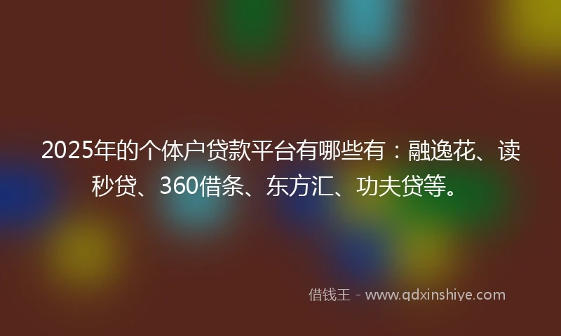 2025年的个体户贷款平台有哪些有：融逸花、读秒贷、360借条、东方汇、功夫贷等。