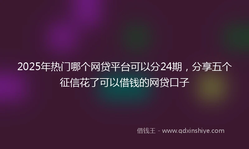 2025年热门哪个网贷平台可以分24期，分享五个征信花了可以借钱的网贷口子