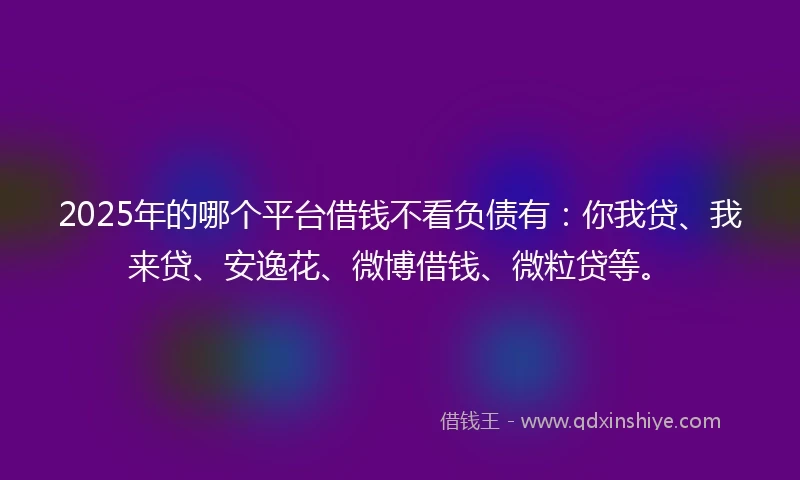 2025年的哪个平台借钱不看负债有：你我贷、我来贷、安逸花、微博借钱、微粒贷等。
