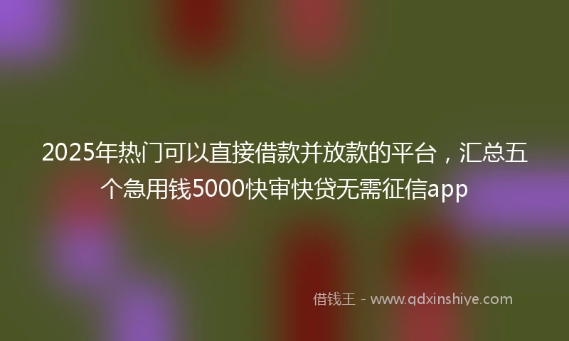 2025年热门可以直接借款并放款的平台,汇总五个急用钱5000快审快贷无需征信app