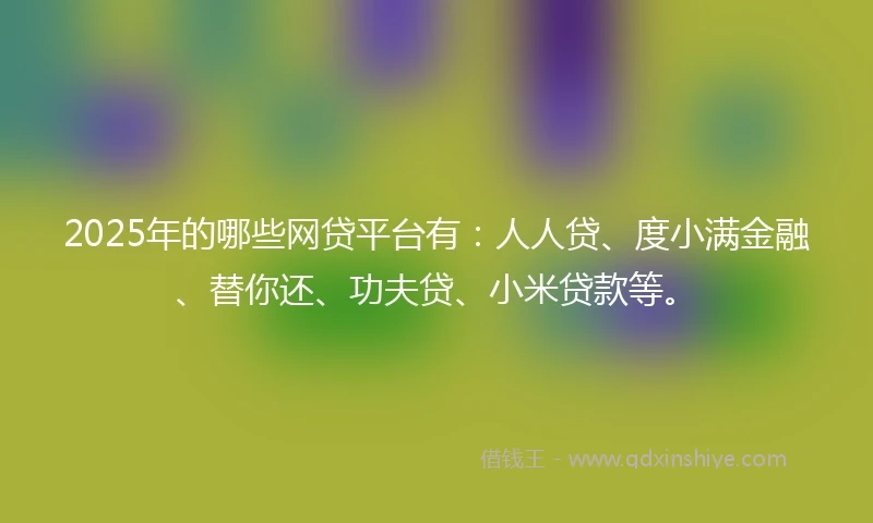 2025年的哪些网贷平台有：人人贷、度小满金融、替你还、功夫贷、小米贷款等。