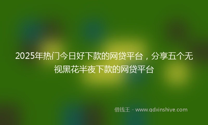 2025年热门今日好下款的网贷平台,分享五个无视黑花半夜下款的网贷平台