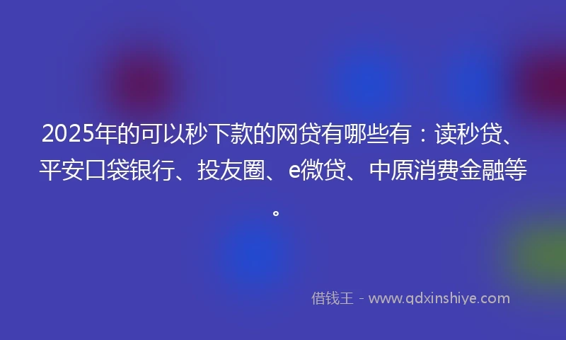 2025年的可以秒下款的网贷有哪些有：读秒贷、平安口袋银行、投友圈、e微贷、中原消费金融等。