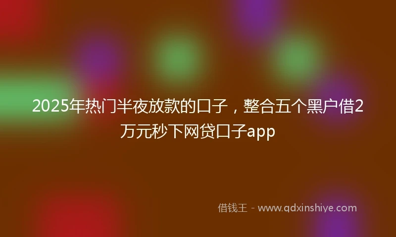 2025年热门半夜放款的口子，整合五个黑户借2万元秒下网贷口子app
