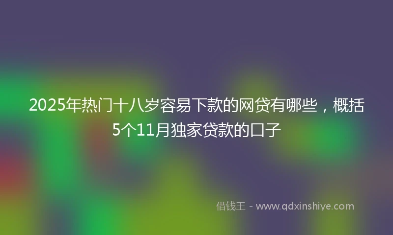 2025年热门十八岁容易下款的网贷有哪些，概括5个11月独家贷款的口子
