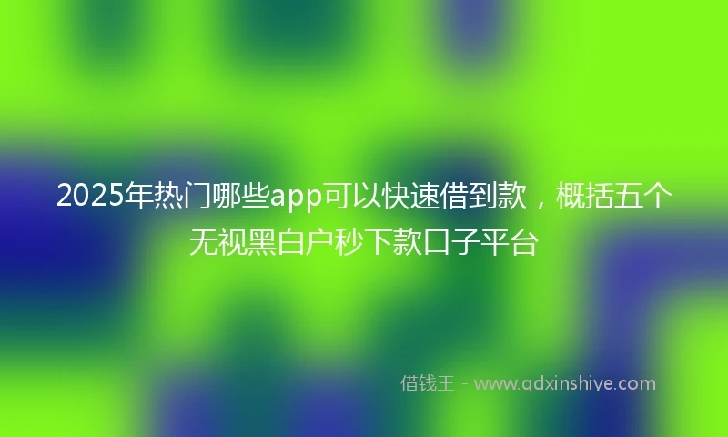 2025年热门哪些app可以快速借到款，概括五个无视黑白户秒下款口子平台