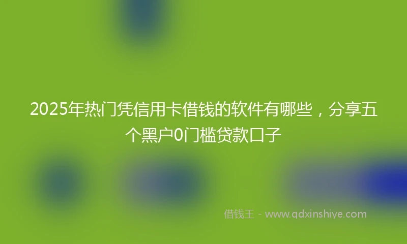 2025年热门凭信用卡借钱的软件有哪些，分享五个黑户0门槛贷款口子