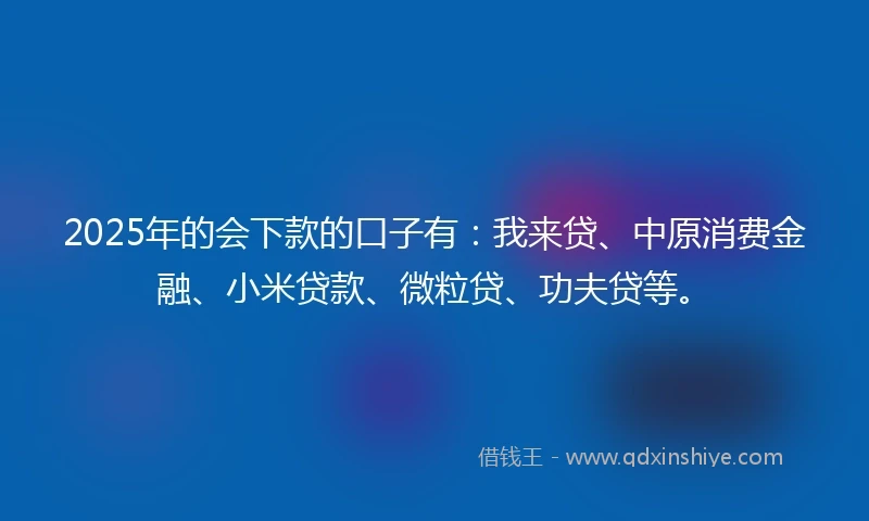 2025年的会下款的口子有：我来贷、中原消费金融、小米贷款、微粒贷、功夫贷等。