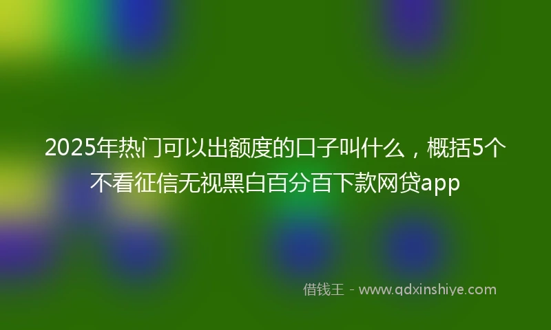 2025年热门可以出额度的口子叫什么，概括5个不看征信无视黑白百分百下款网贷app
