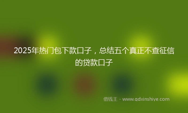 2025年热门包下款口子，总结五个真正不查征信的贷款口子