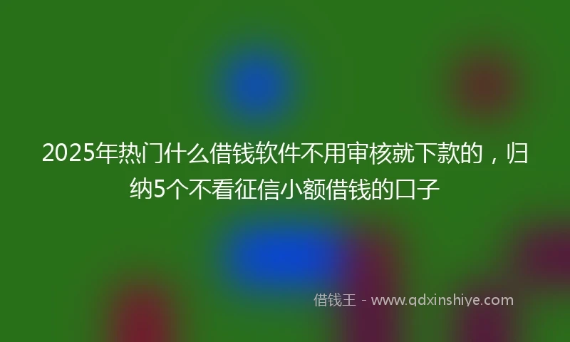 2025年热门什么借钱软件不用审核就下款的，归纳5个不看征信小额借钱的口子