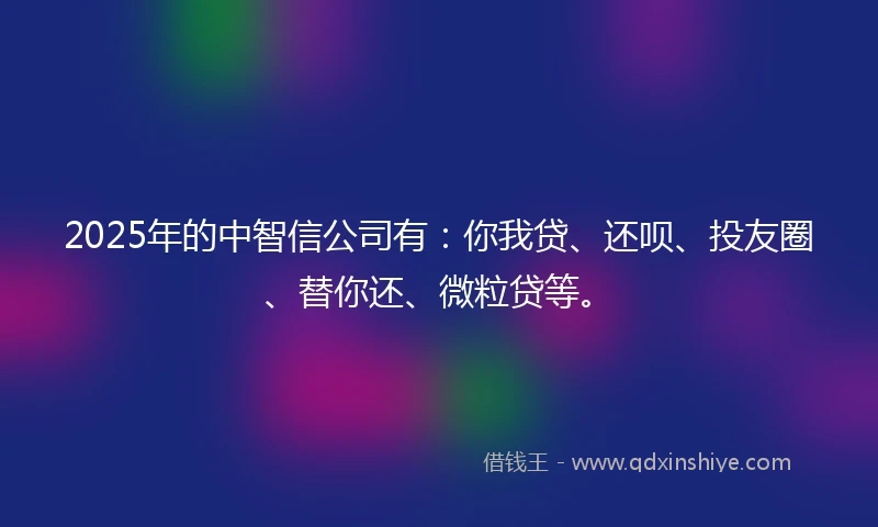 2025年的中智信公司有:你我贷、还呗、投友圈、替你还、微粒贷等。